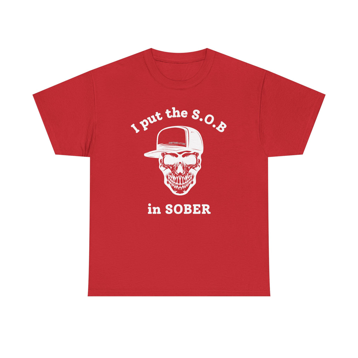 I Put the S.O.B. in Sober  T-Shirt