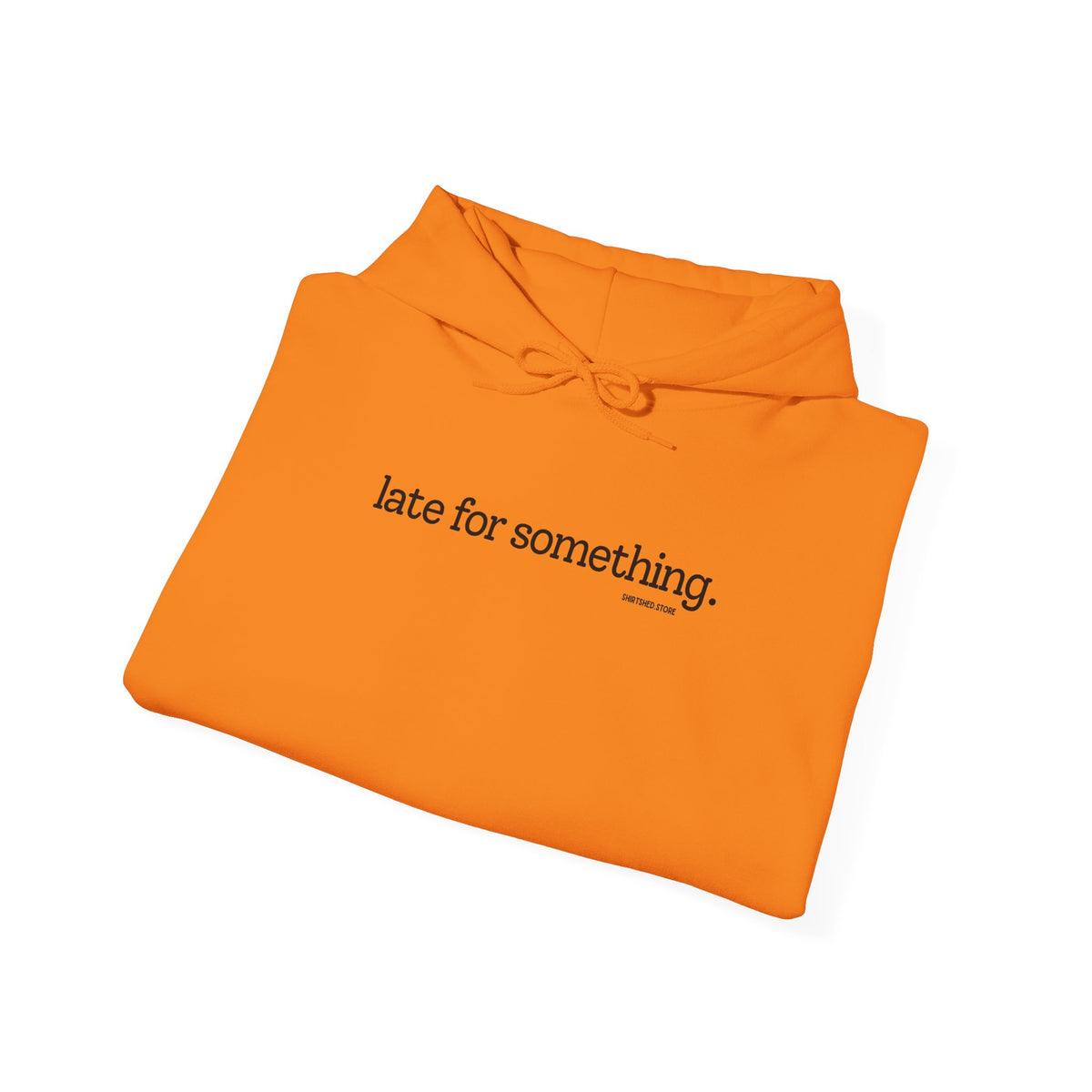 LATE FOR SOMETHING HOODIE