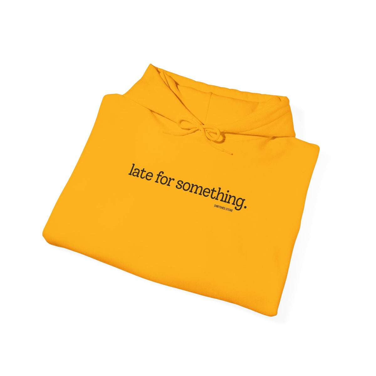 LATE FOR SOMETHING HOODIE