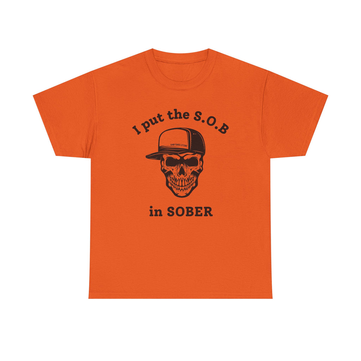 I Put the S.O.B. in Sober  T-Shirt