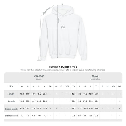 DC Chargers Youth Hoodie